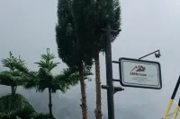 SM Bromo Hotel - Mountain view