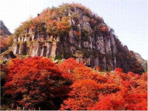 SUPER HOTEL Oita Nakatsu Station 온천 또는 대욕장 내부