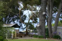 Millicent Hillview Caravan Park