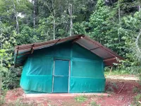 Isla Violin Eco-Lodge Hotel in zona Corcovado, estación Sirena National Park