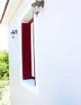 Apollonio
