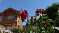 Lejano Nahuel Hotel di Bariloche
