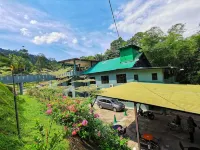 Green Peace Sungai Lembing