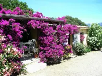 Torre Delle Stelle Residence Hotels in Solanas