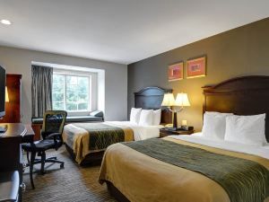 Comfort Inn & Suites Airport Dulles-Gateway