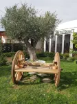 B&B San Pietro