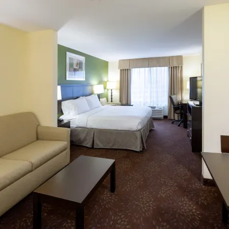 Holiday Inn Express & Suites ROCHESTER – MAYO CLINIC AREA by IHG