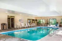Comfort Inn Duncansville - Altoona - Pools