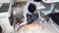 Misato Kinenkan, A Guest House Full of Cats Hoteles en Ōwani