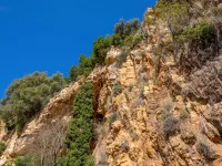 Vista Halcon