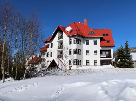 Harrachov 561 Отели в г. Гаррахов