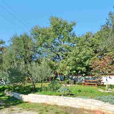 Albina Hotel Exterior