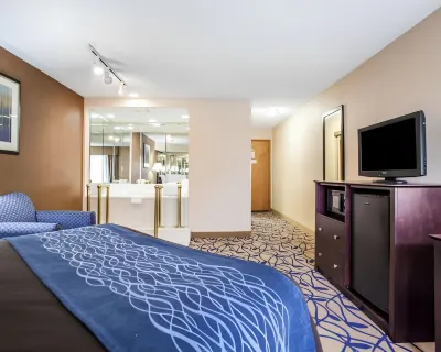 Comfort Inn Bourbonnais Near I-57 Отели в г. Мантено