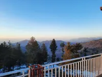 Malak Tower Hotel & Resturent Hotels in Malam Jabba