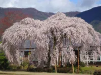 Ryokan Otaya Hotels in Iida