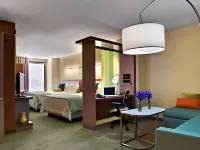 SpringHill Suites Louisville Downtown Hotels in Louisville