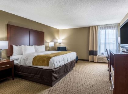 Comfort Inn N Myrtle Beach Barefoot Landing