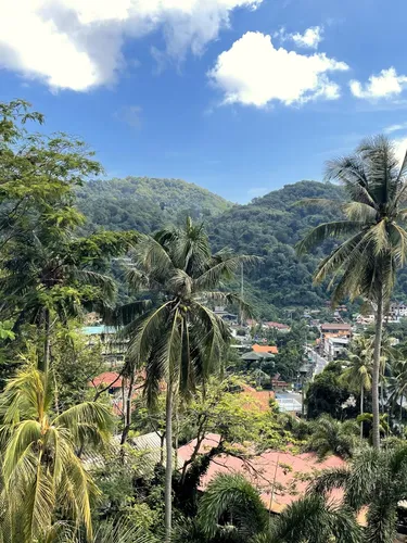 รูปภาพของCozy studio at Splendid Condo, Kata beach