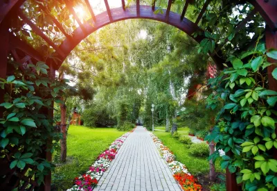 Березка Парк-отель Отели в г. 