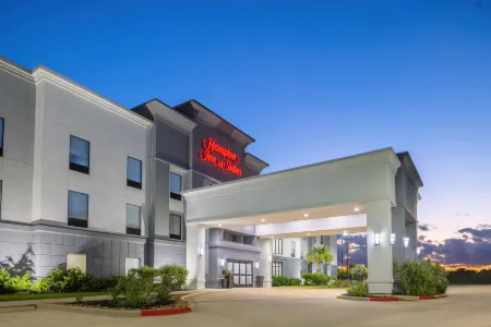 Hampton Inn & Suites Brenham Отели в г. Бренхем