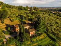 Lovely accommodation in a typical tuscan farmhouse. Cooking Class on site