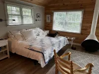 Newly renovated modern guest cottage across from Spruce Point Inn Pet Friendly! Mung Bean附近的飯店