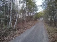 Birdwatchers Paradise: Secluded Cabin in the Woods on 4 acres