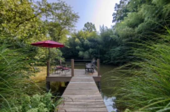 Beautiful Waterside Cabin (2), Great Location, View, 8 Min To Downtown, Biltmore