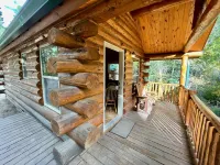 Secluded Creekside Cabin