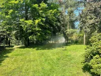 Waldhäuschen am See