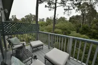 Stunning Aptos Home with Treetop Views Adjacent to the Seascape Golf Course - Wifi