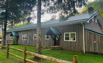 Charming Yet Wild Cozy Retro Cabin Hot Tub, Sunroom, Fire Pit & Trout! Hiking!