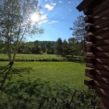 1/2 mile to EVL, Lake, HOT TUB, Pets welcome