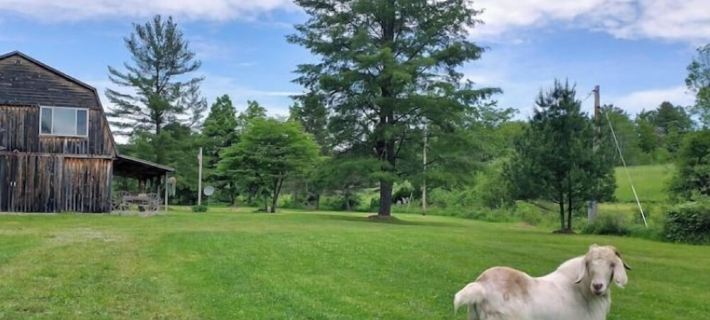 Mountain Rose Horse Farm - Loft Studio Ξενοδοχεία στην πόλη Steuben County