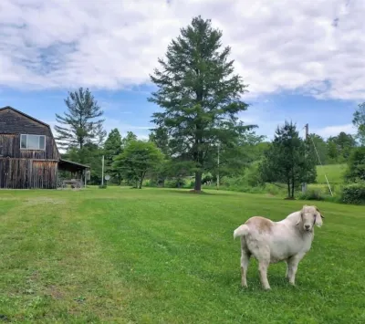 Mountain Rose Horse Farm - Loft Studio