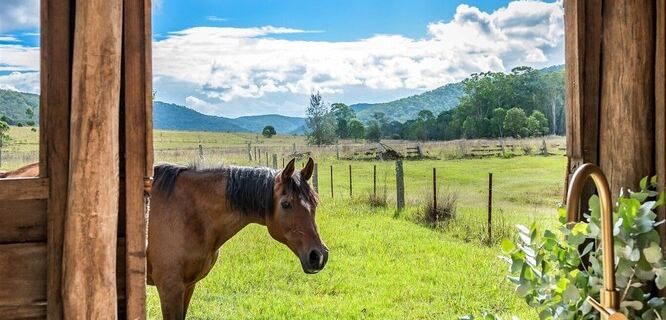 Prepare to Fall in Love Hotéis em Cessnock