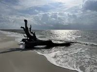 Island Retreat for Nature Lovers