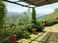 Rustic single house with exclusive swimming pool and large private garden Hotels near Chiesa Di San Pietro a Corsena