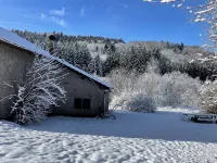 The Hut, in the middle of the woods, not far from the waterfalls Hotels in Tendon