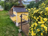 New and Wonderfully Equipped Comfy Cottage - 9 Miles from West Glacier