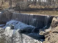 Meadowlark Cabin 코피 카운티 호텔