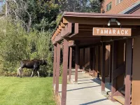 Tamarack condo/Jackson Hole Hotels in Wilson