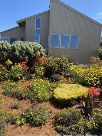 "The Birds" Easy walk to the beach, hot tub, fireplace, quiet and elegant.