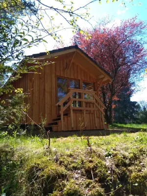Chalet - Lac Daydat Hotels near Lac de la Cassiere