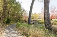City Center Cove ~ Close to MOA & MSP Airport