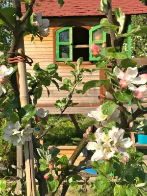 large holiday home with terrace and garden - close to the old town, family friendly