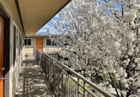 Work Here • Remodeled Kitchen • Fast WiFi • King Bed • Walk Downtown • Parking