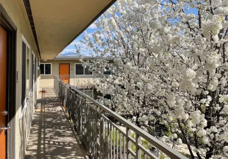 Work Here • Remodeled Kitchen • Fast WiFi • King Bed • Walk Downtown • Parking