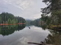 San Gregorio - A Cozy & Dog Friendly Forest Retreat