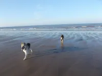 Katie's Corner - Spacious Stylish Holiday Cottage, 3 Bedrooms & 2 Ensuite & Pets